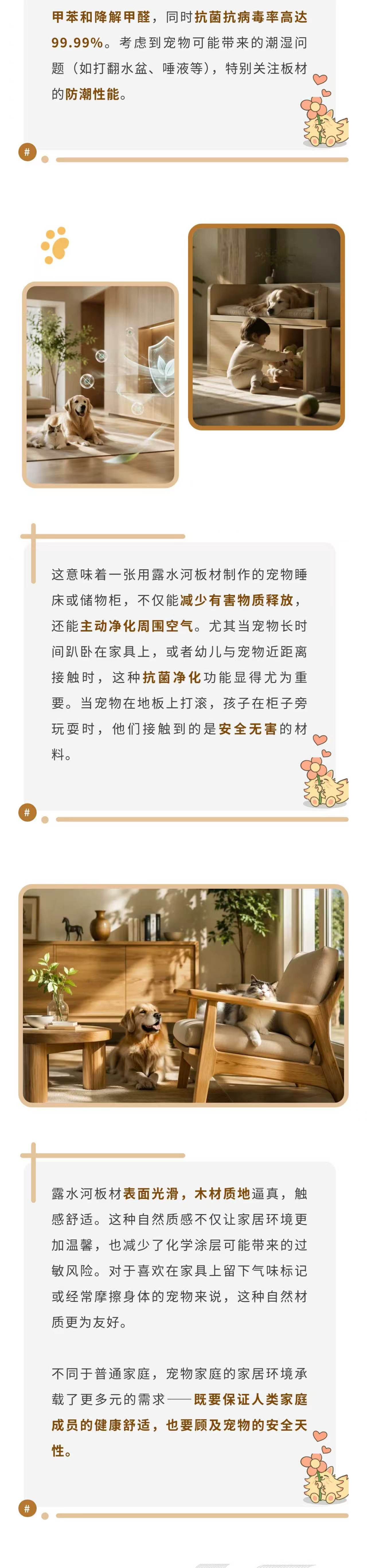 120aa97ad7c54b48e9fc95db93d6546b.jpg